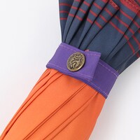 愛染国俊モデル