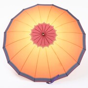 愛染国俊モデル