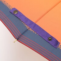 愛染国俊モデル