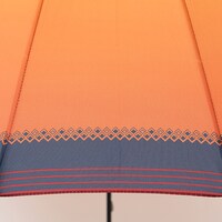 愛染国俊モデル