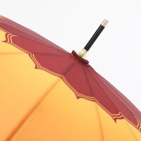 愛染国俊モデル