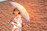 愛染国俊モデルの使用イメージ。