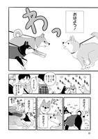 「柴公園」より。