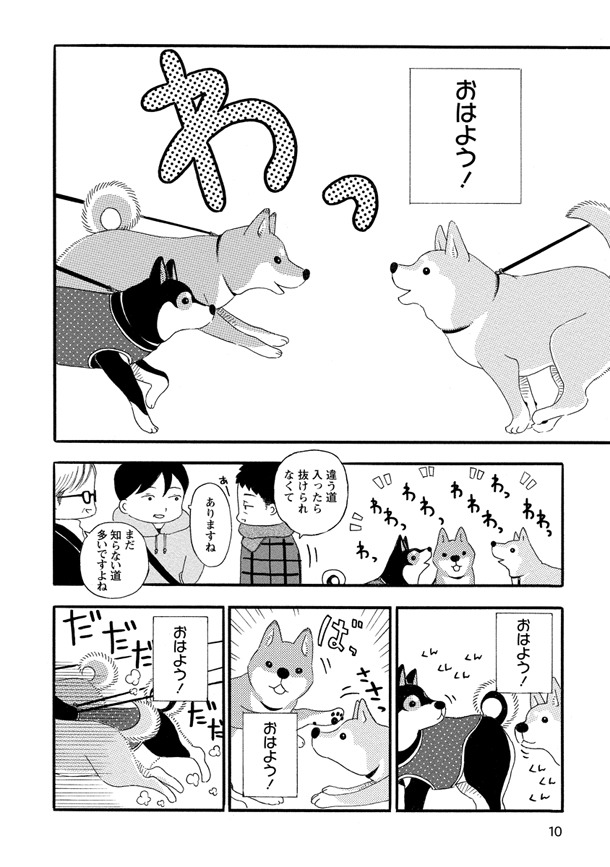 「柴公園」より。