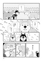 「柴公園」より。