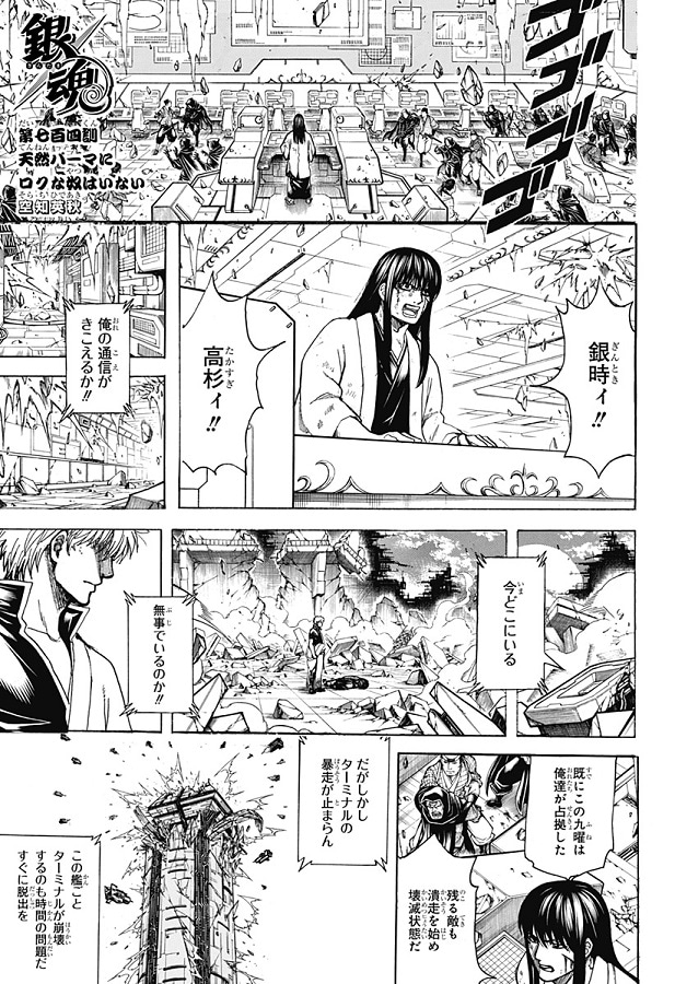 第七百四訓「天然パーマにロクな奴はいない」より。(c)空知英秋/集英社