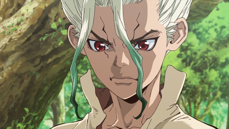 TVアニメ「Dr.STONE」本PV第1弾より。