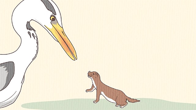 アニメ「ざんねんないきもの事典」より。