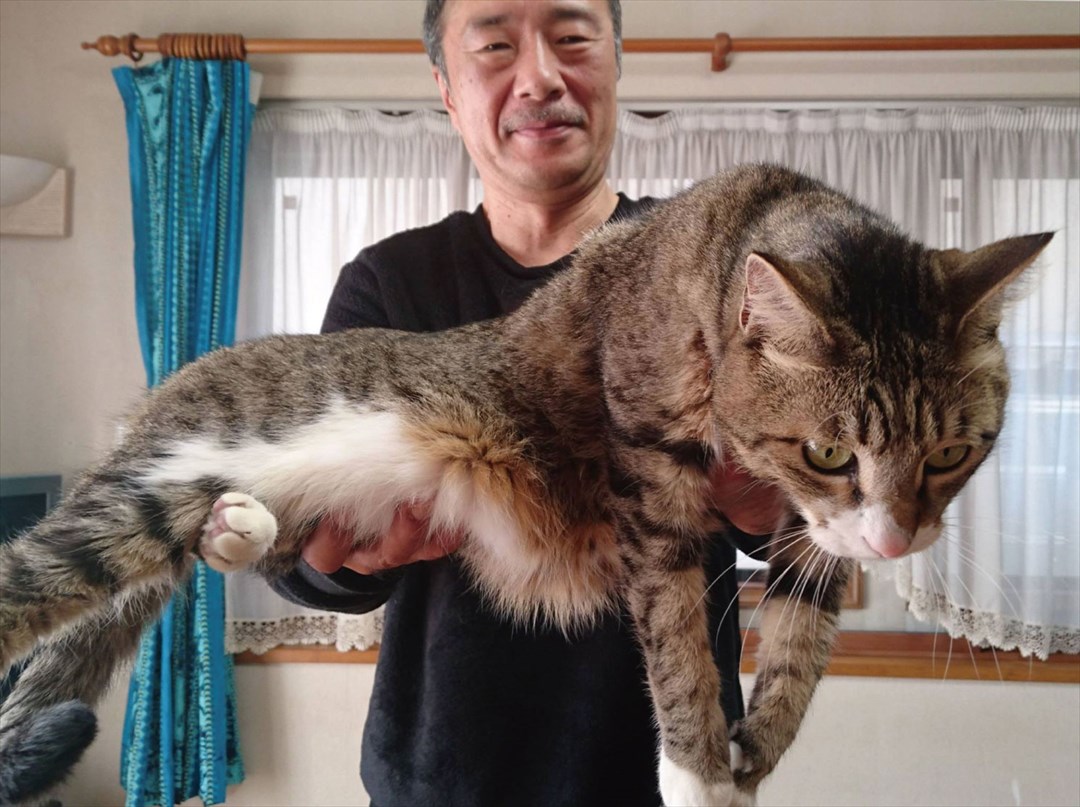 小林まこと