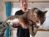 小林まこと