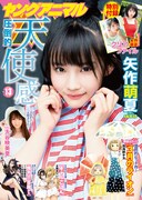 ヤングアニマル13号