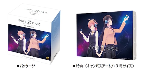 「SE-MHR5 BIY」のパッケージと特典として同梱されるキャンパスアート。