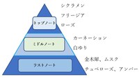 「シティーハンター　オードパルファム」香りのイメージ図。