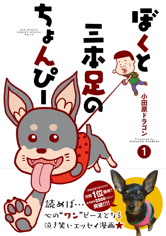 「ぼくと三本足のちょんぴー」1巻の帯あり。