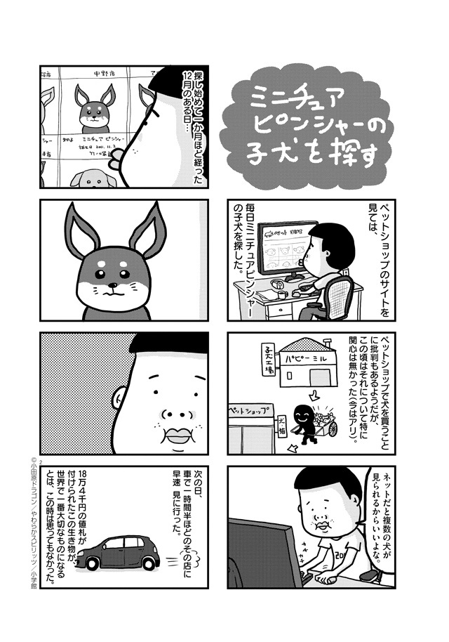 「ぼくと三本足のちょんぴー」1巻より。