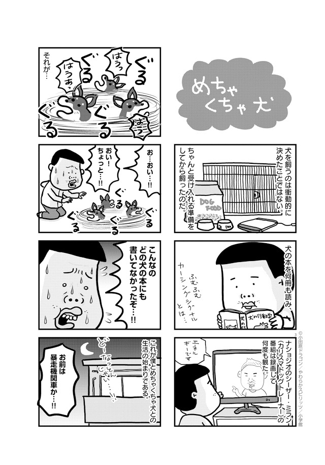 「ぼくと三本足のちょんぴー」1巻より。