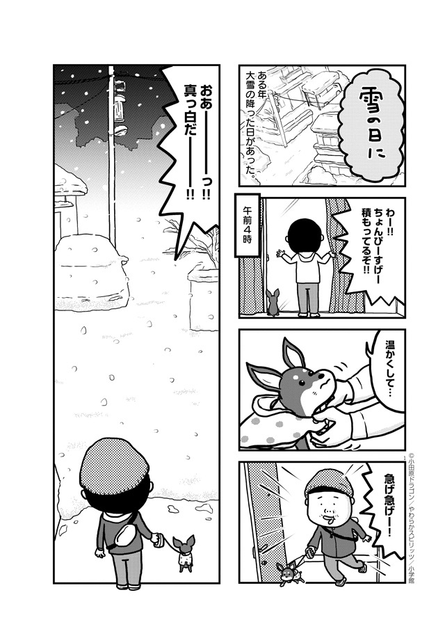 「ぼくと三本足のちょんぴー」1巻より。