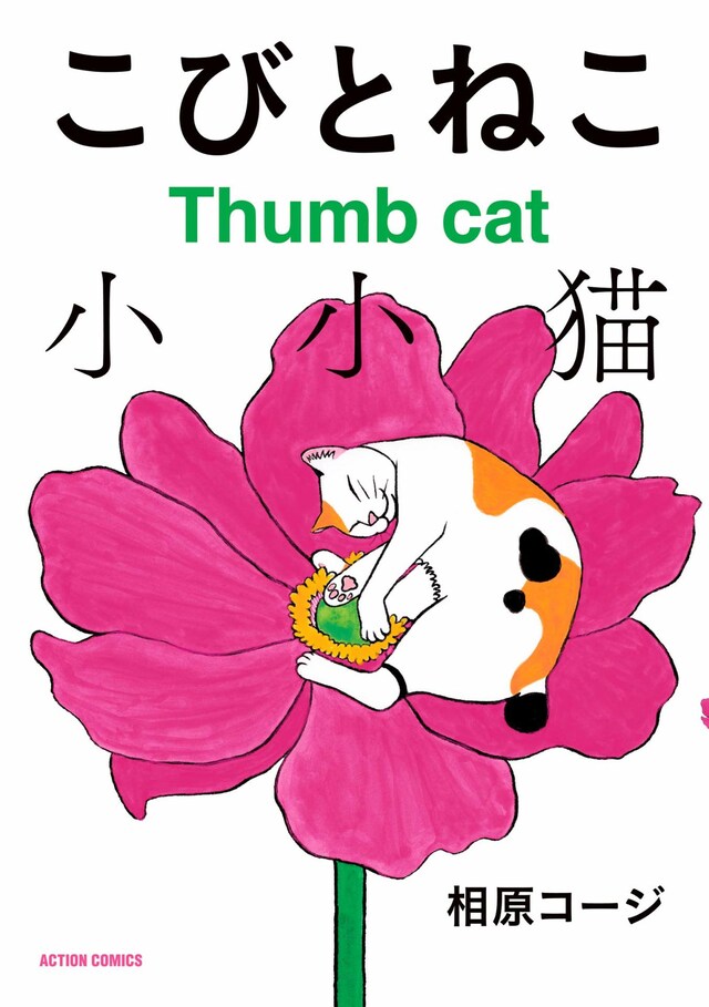 「こびとねこ」