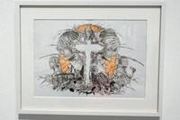 「Illustration」の展示。