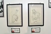 板垣巴留「BEASTARS」の実現マニフェストである、ゲストビーストのイラスト。