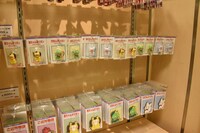 「特別展 りぼん 250万りぼんっ子▼大増刊号」の特設ショップ。