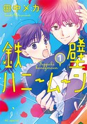 「鉄壁ハニームーン」1巻
