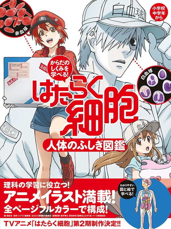 「からだのしくみを学べる！はたらく細胞 人体のふしぎ図鑑」帯付き