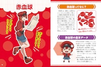 「からだのしくみを学べる！はたらく細胞 人体のふしぎ図鑑」より。