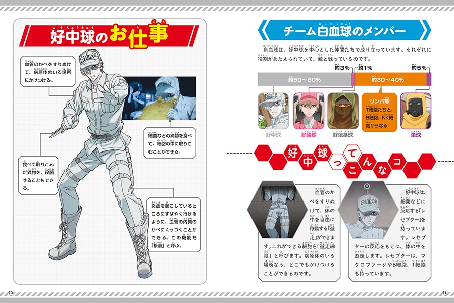 「からだのしくみを学べる！はたらく細胞 人体のふしぎ図鑑」より。