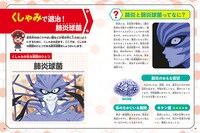 「からだのしくみを学べる！はたらく細胞 人体のふしぎ図鑑」より。