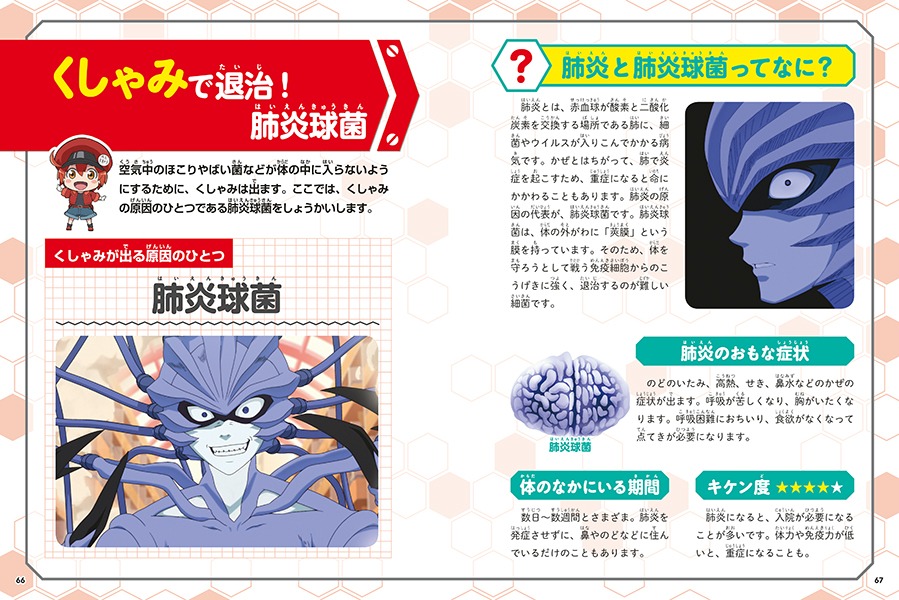 「からだのしくみを学べる！はたらく細胞 人体のふしぎ図鑑」より。