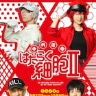 舞台「はたらく細胞」第2弾上演決定!白血球役は北村諒、赤血球役を川村海乃