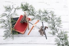 ヘタリア 南イタリア スペイン プロイセンの衣装をイメージした腕時計など 写真93枚 コミックナタリー