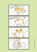 「しばいぬのあたちたち」より。
