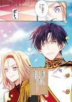 「外科医エリーゼ」より。