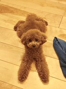 小山宙哉の休暇の様子。