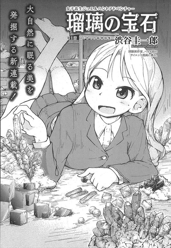 「瑠璃の宝石」