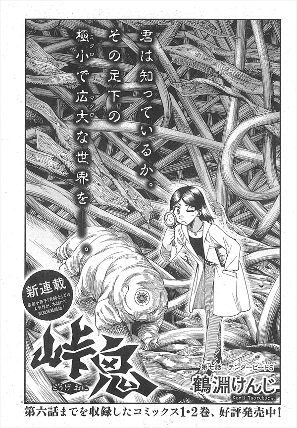 「峠鬼」