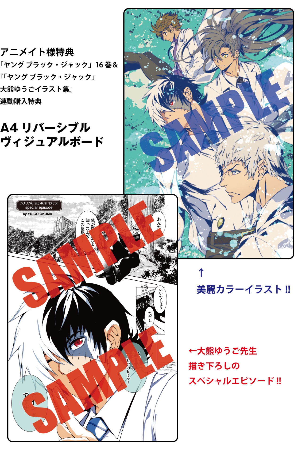 アニメイト特典