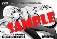 とらのあな特典