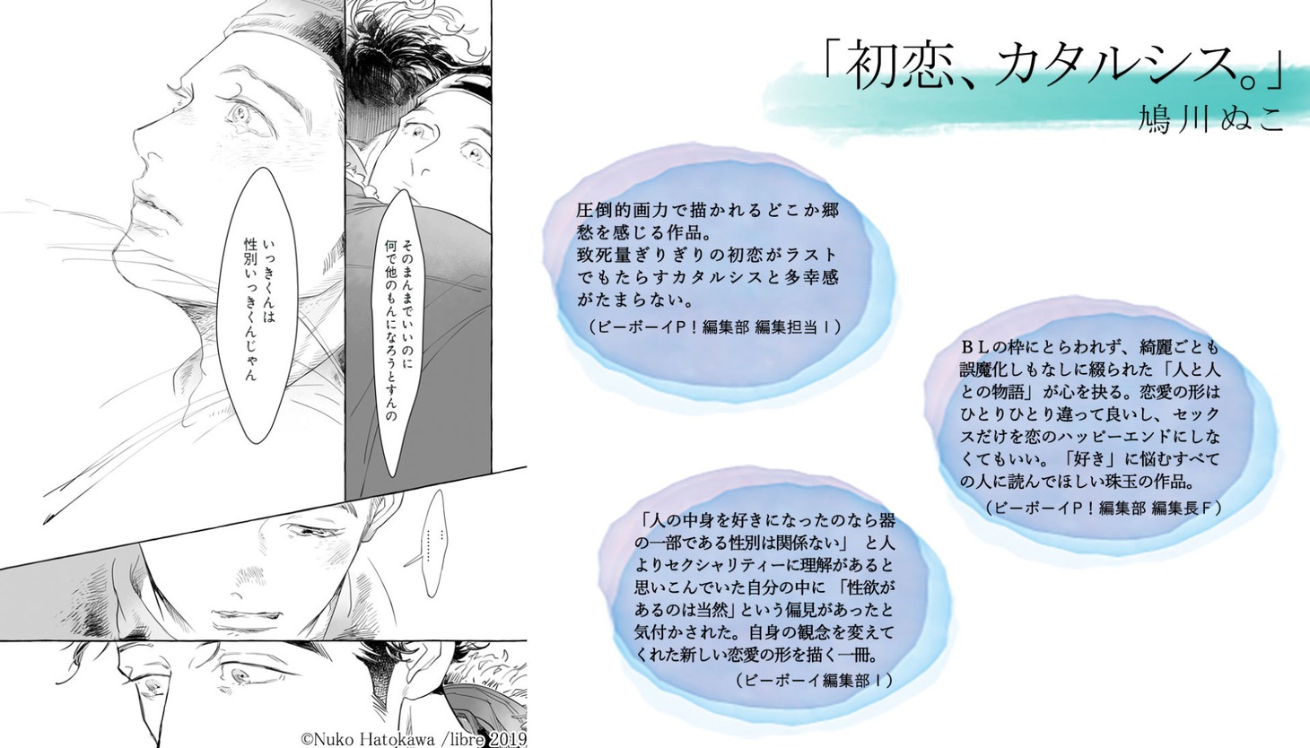 編集部のコメント。