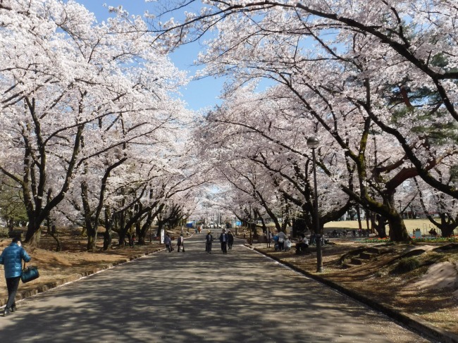 狭山稲荷山公園のイメージ。