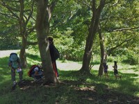 9月22日のワークショップ「『日本の色を見つけよう』親子向けネイチャーガイド」のイメージ。