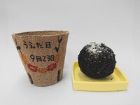 9月23日のワークショップ「たねダンゴ作り」のイメージ。