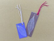 9月21日のワークショップ「葉っぱの葉脈標本作り」のイメージ。