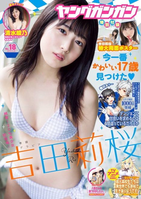 ヤングガンガン18号