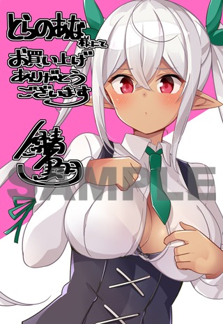 とらのあな特典