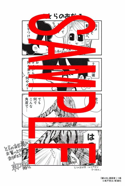 とらのあなの購入特典のイラスト。
