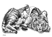 とらのあなの購入特典。