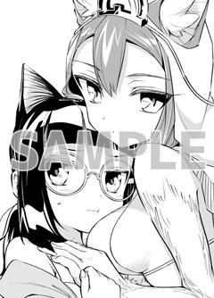 COMIC ZIN特典